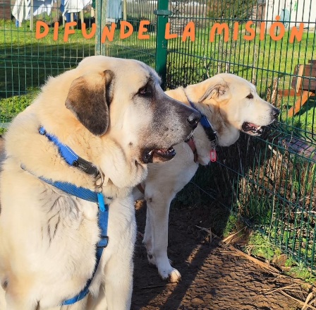 Sé parte de la familia FEEL